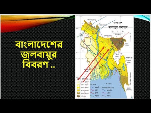 ভিডিও: সাংগঠনিক জলবায়ু কি ধরনের?