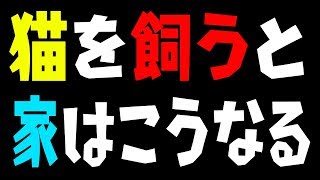 猫を飼う前に絶対に見て下さい「猫を飼うと家がこうなる可能性があります」猫を飼う心構え動画　Please look before you keep a cat