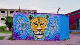 Murales 💙