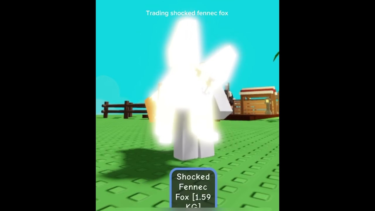 Trading shocked fennec fox