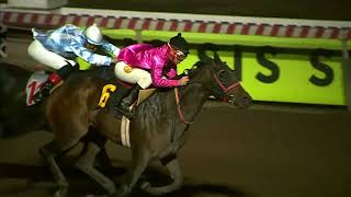 Vidéo de la course PMU PRIX DEFENSIVO