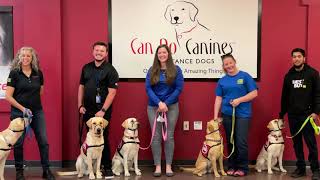 PAW Program | Best Buy by Can Do Canines 279 views 1 year ago 37 seconds