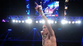 Juan Francisco Estrada (Highlights/Knockouts)