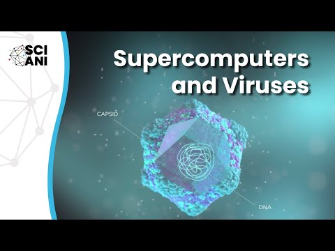 What can supercomputers teach us about viruses?