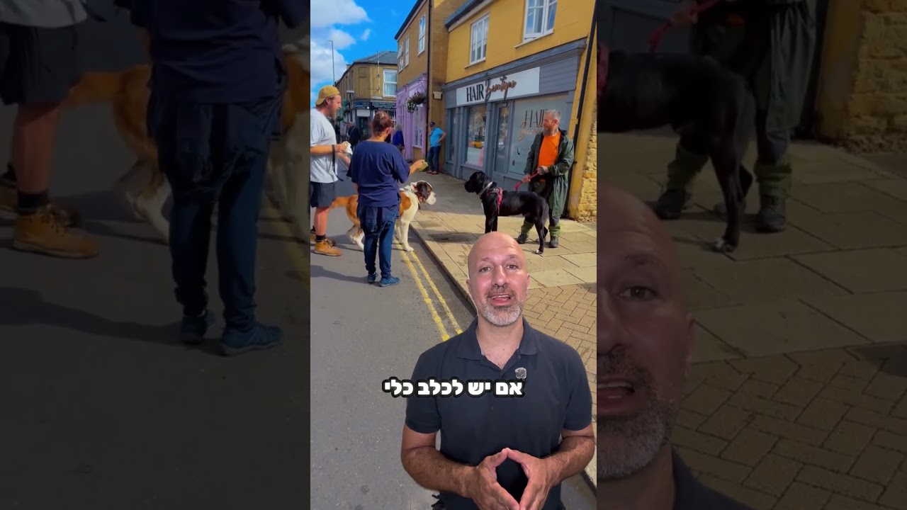 מפגשים לא נכונים בין כלבים עלולים לגרום לבעיות התנהגות באווח הארוך