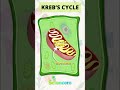 Krebs cycle trick