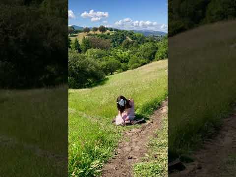 field meditation
