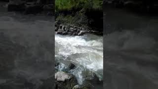 Viləş Çay Yardımlı