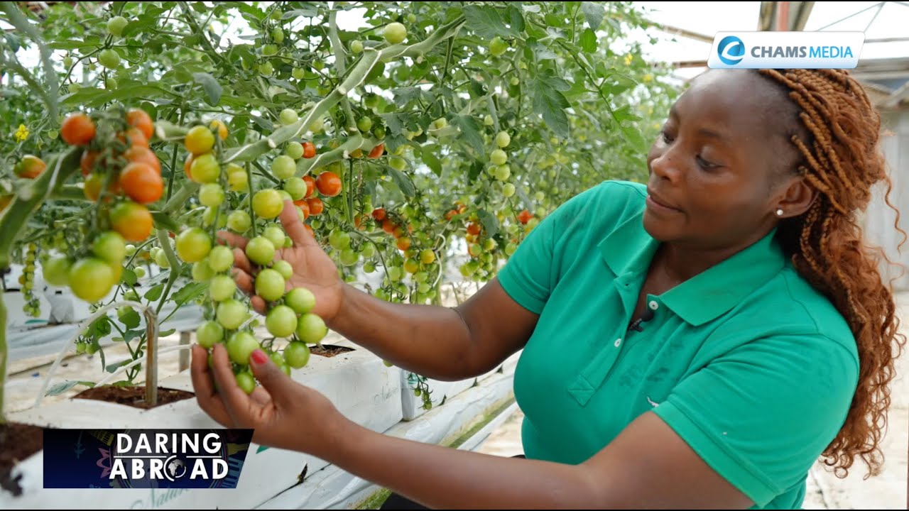 Meet the Kenyan farmer excelling in Australia's agriculture sector through modern technology