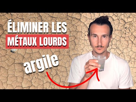 Vidéo: Les coquillages et l'argile sont-ils toujours ensemble ?