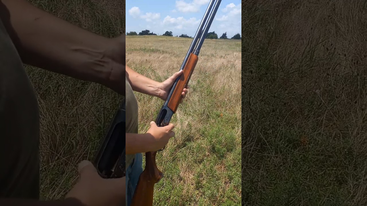 Remington 1100 12 gauge