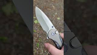 WE Zizit Button Lock! #shorts #youtubeshorts #knives