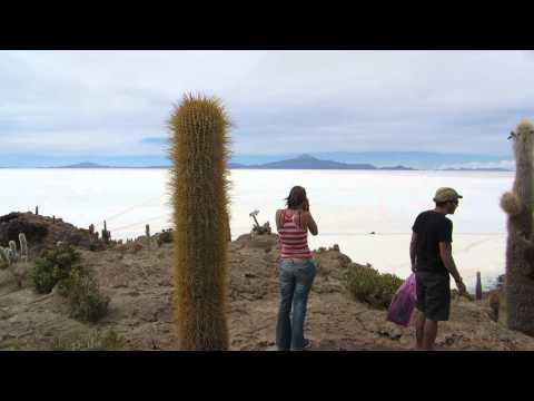 Salar de Uyuni - Isla del Pescado - Bolivia