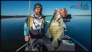 The Case for Catch and Release in Crappie Fishing