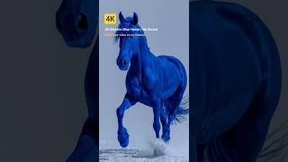 3H Electric Blue Horse | 4K  #background #screensaver #4k
