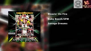 Blowin On Fire - Baby Beesh