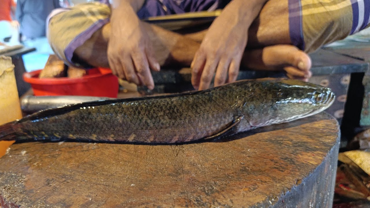 “fish cutting” and “Bagerhat” - YouTube