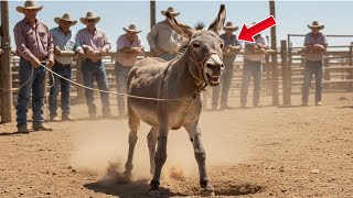They Tried to Lead the Mule Out of the Auction… But She Froze at the Gate for a Heartbreaking Reason