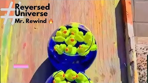 Mr. Rewind and The Satisfying of Reversing ⏳🔥