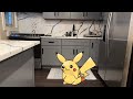 These Pokémon Belong in Real Life
