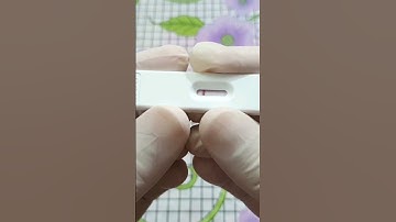 How to Do Pregnancy Urine Test at Home with a Pregnancy Kit #pregnancy #pregnancytest