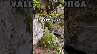 RUTA CIRCULAR DEL VALLE DE PONGA (PR.AS-213)