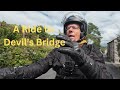 Devil's Bridge - Sheep in the Road
