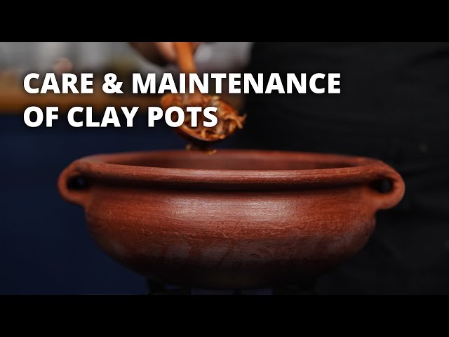 Right way to Clean & Maintain Clay Pots  How to remove molds, oil stains &  food smell? Nisha Thaju 