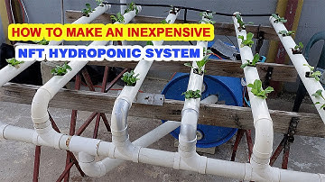How to make a NFT Hydroponic System