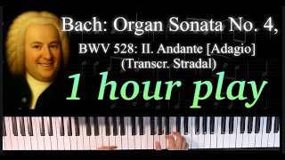 Bach: Organ Sonata No.4 BWV 528 – II. Andante [Adagio] (Stradal) | 1-Hour Piano Loop + Sheet Music