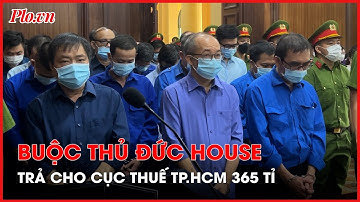 Cựu phó cục trưởng Cục Thuế TP.HCM Nguyễn Thị Bích Hạnh bị phạt 4 năm tù - PLO