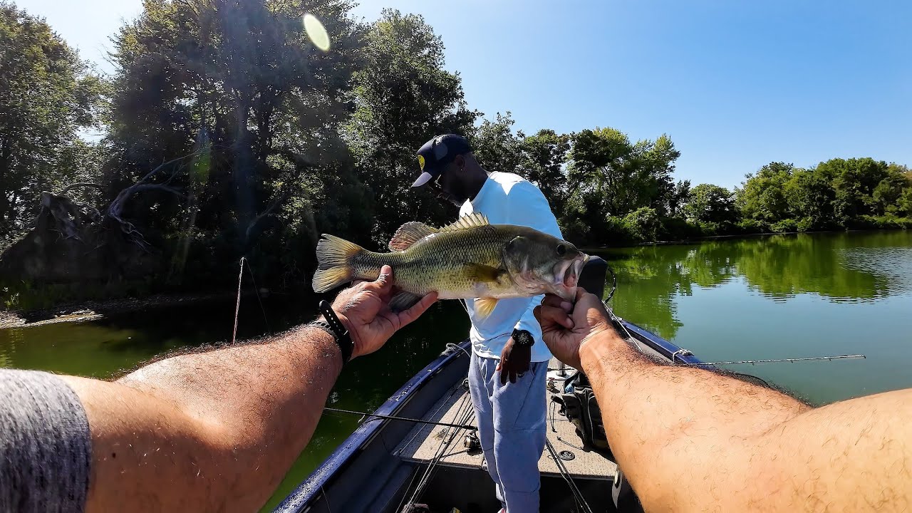 Bass Fishing Grass Beds for Stubborn Bass with Marlon