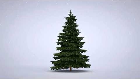 3D Christmas Tree | After Effects Template | Openers