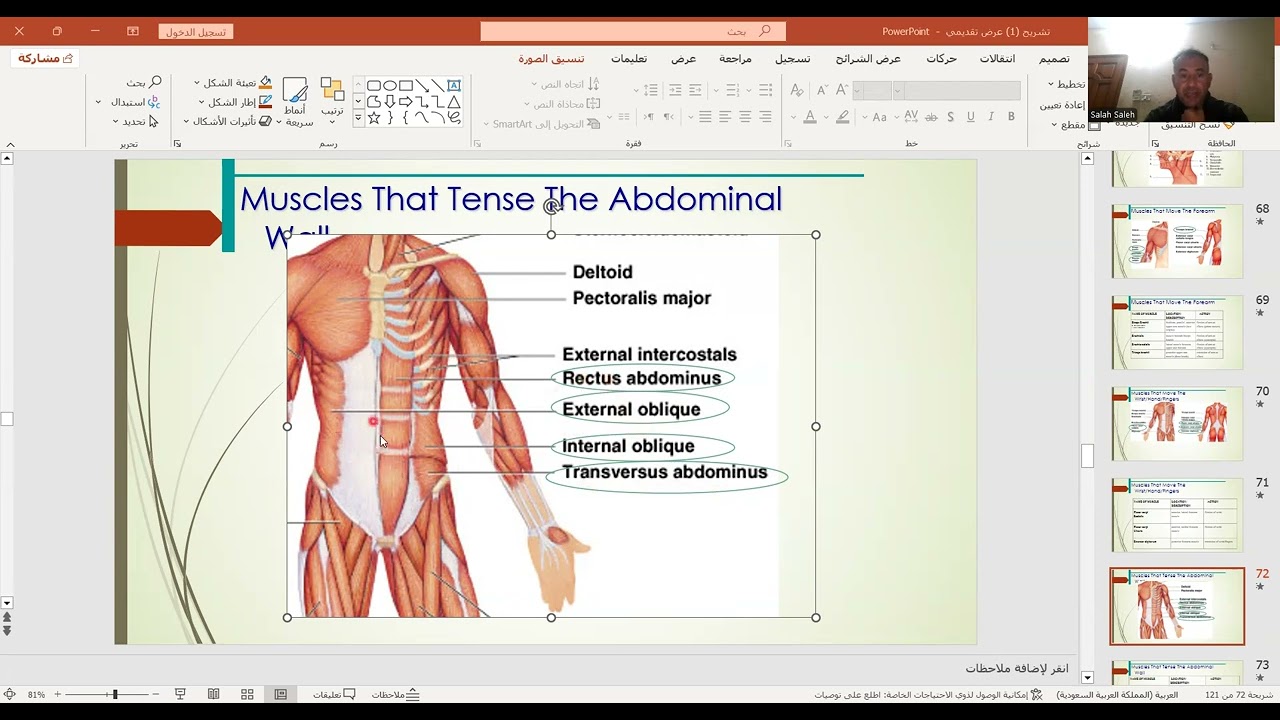 صلاح صالح السلام عليكم مرفق محاضرة تكميل عضلات الأطراف العلوية وتشريح عضلات البطن