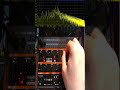 Behringer Grind All the Presets Try Out Short 1 | #synthesizer  #dawless #synthjam