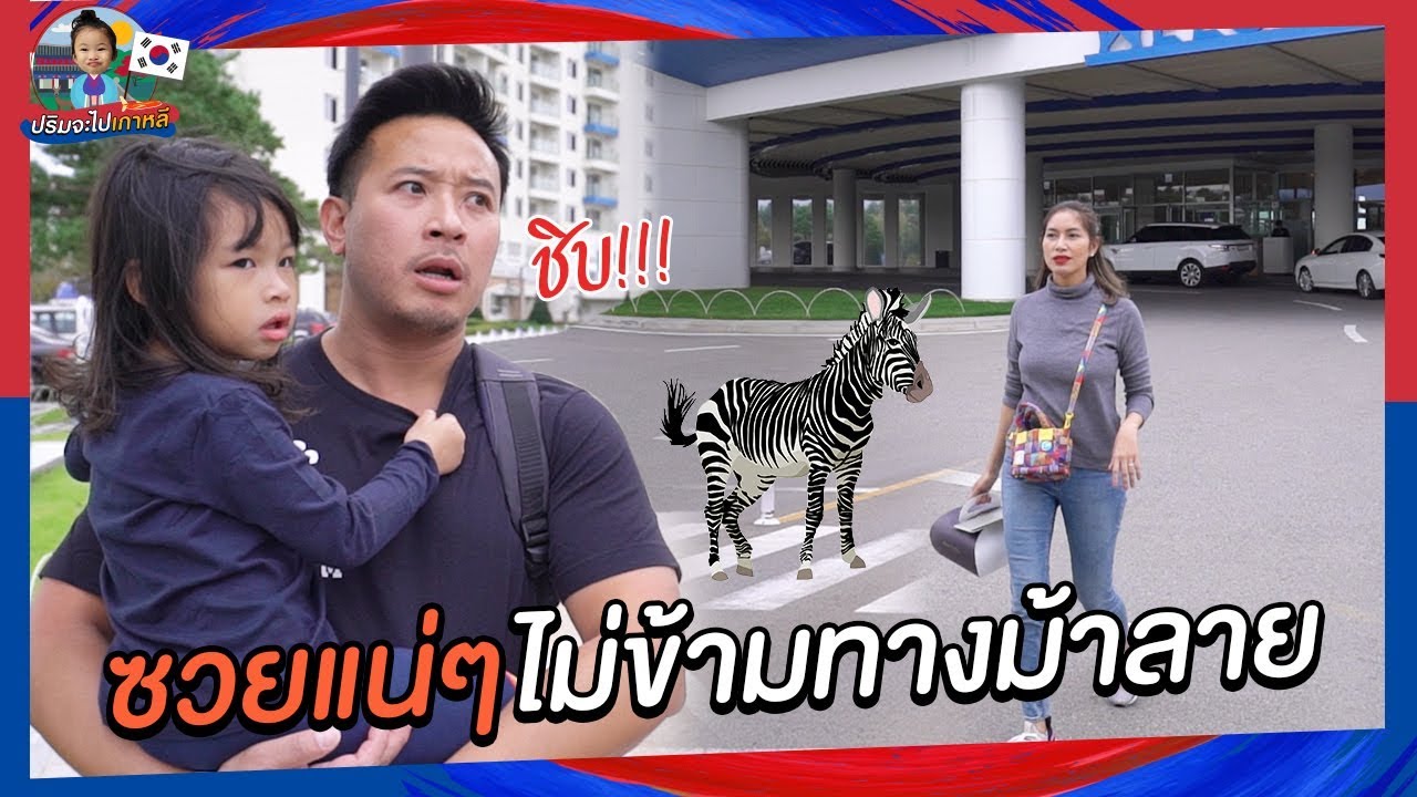 ซวยแน่ๆแม่พลาดไม่ข้ามทางม้าลาย l EP3 ปริมจะไปเกาหลี