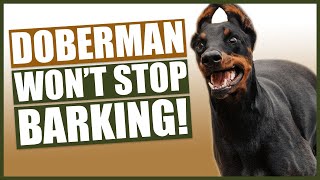 How To Stop Your DOBERMAN Barking