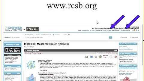 PDB and PyMOL (1 of 11)