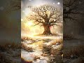 Talve Ootuses