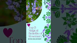 Top 5 Magical Benefits of Rosemary Herb | #shorts #magicalherbs #RIM_OFFICIAL #rosemary #ecolife