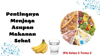 Pentingnya Menjaga Asupan Makanan Sehat || IPA Kelas 5 Tema 3~Home Education 