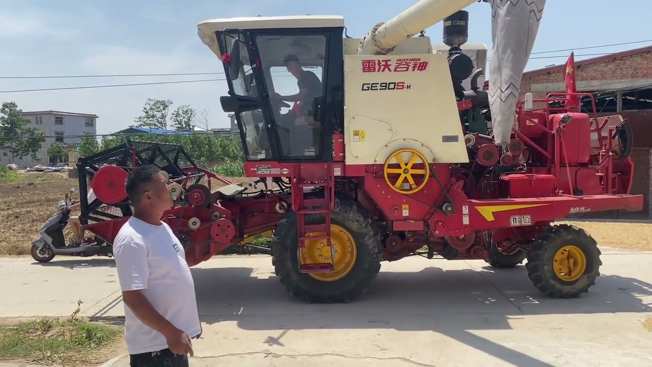 建华娘家的小麦收了，麦子刚卸完建华一看这小麦全是麸子。#用抖音记录农村真实生活