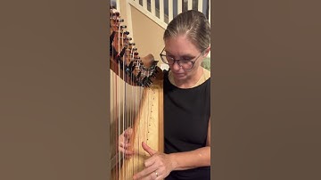 Random Bass Line Game 9Sept2025. #harp #improvisation #harploop #harploops