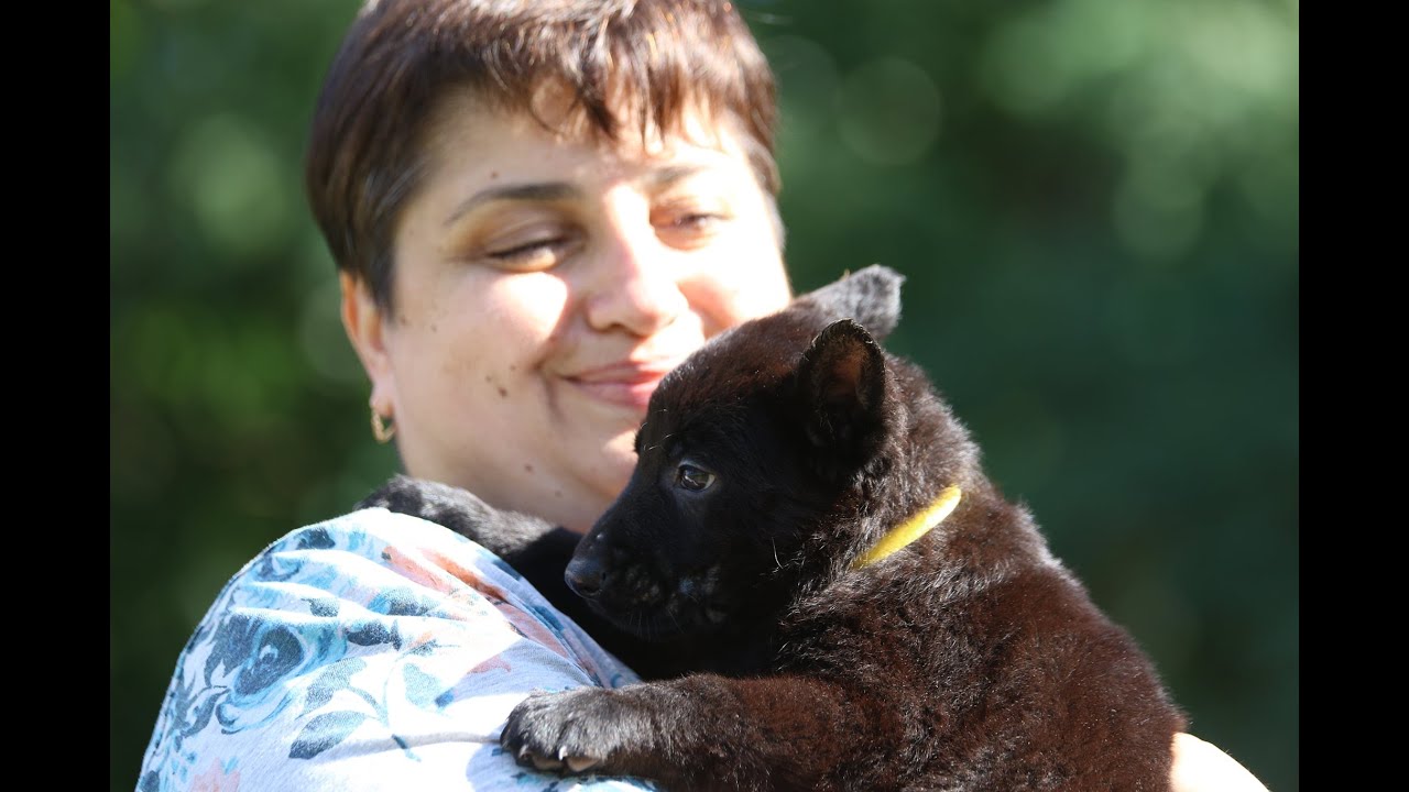 Home Cooking For Dogs With Kidney Disease