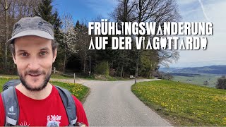 Wanderung durchs Mittelland - 5. Etappe der ViaGottardo von Zofingen nach Sursee