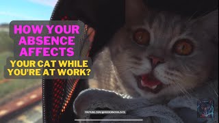 How your absence affects your cat while you're at work? by ModernCoolCats 4 views 3 months ago 1 minute, 14 seconds