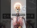 매일 '이것' 한 조각 먹었더니 생긴 뇌의 기적 🧠