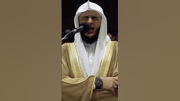 ما تيسر من سورة العنكبوت || القارئ محمد عبادة #quran