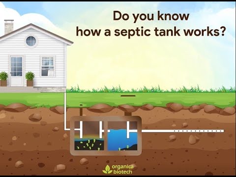 Video: Waarom heet het een septic tank?