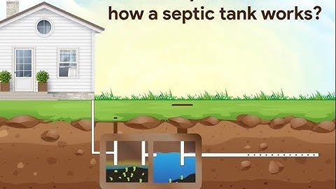 How A Septic Tank Works: Septic Tank Treatment | Organica Biotech